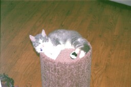 Aren't I cute?