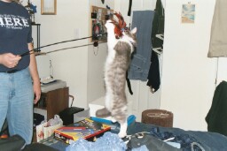 Check out the vertical!&nbsp; Think the Mavericks need him?