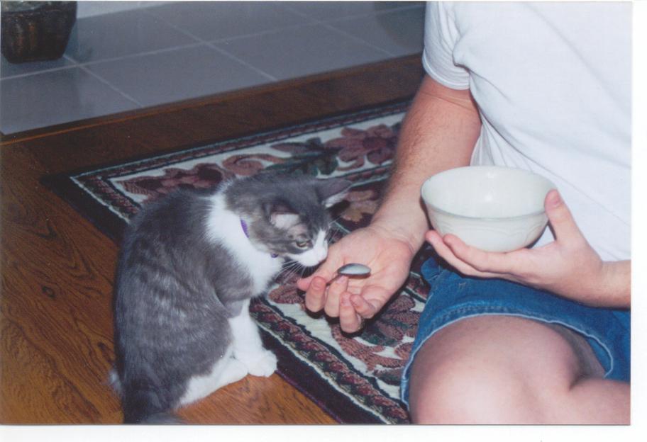 Just a little, on the back of a spoon...