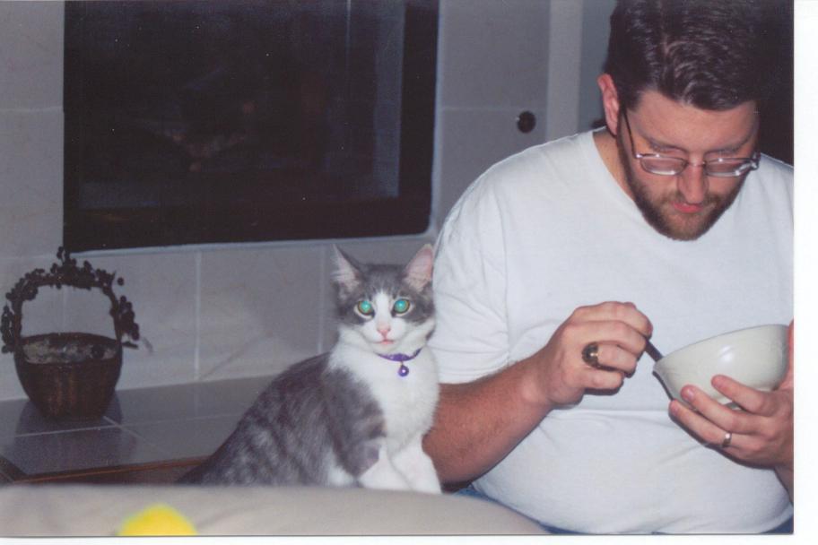 Not too much, little one.&nbsp; Lots of dairy is bad for kitties...