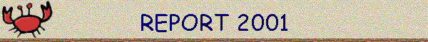 REPORT 2001
