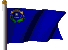 Nevada flag