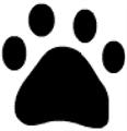 Photo's of our Pets!