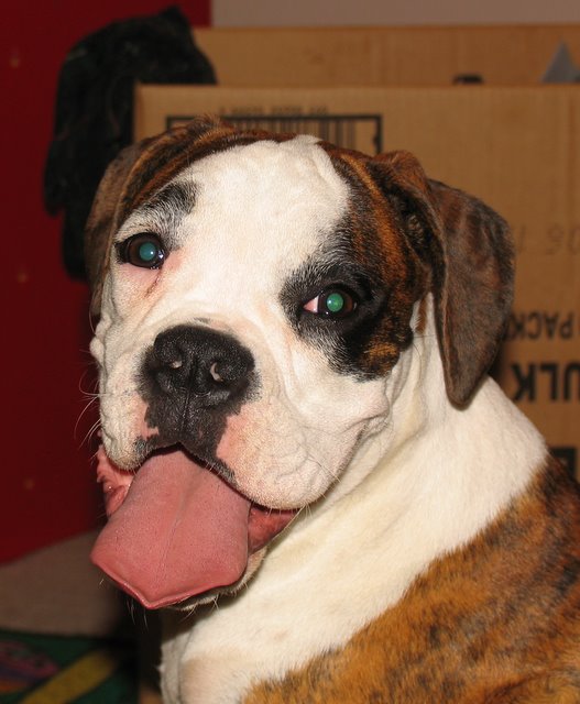 Click here to see more photos of Winnie!
