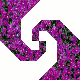 purple multi Indiana Puzzle