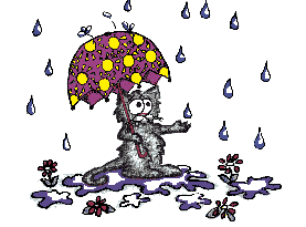 cat in rain