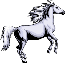 horse