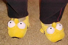 Homer Simpson slippers