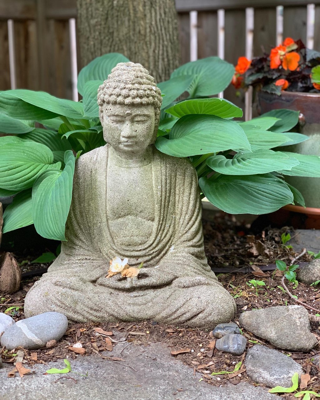 buddha