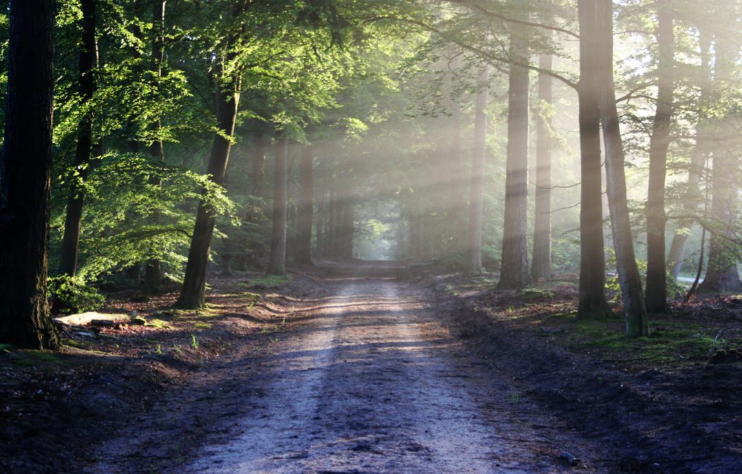 road