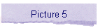 Picture 5