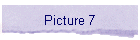 Picture 7
