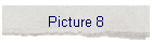 Picture 8