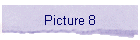 Picture 8