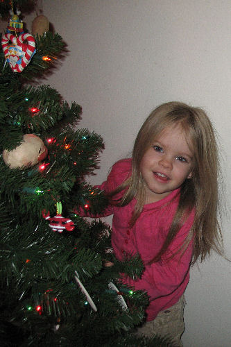 Piper playing in the Xmas tree!