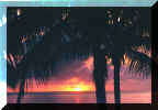 1999 Sunset.jpg (132743 bytes)