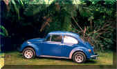 herbie.jpg (55441 bytes)