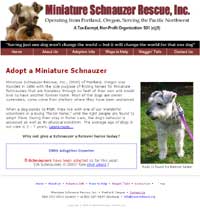 Miniature Schnauzer Rescue Northwest