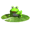 watch the froggy hop!!!!!!!!!!!!!!