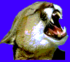 Growl!