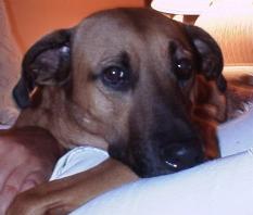 This is my Boy Bays...Isn't he cute????