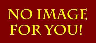 noimageforyou.jpg