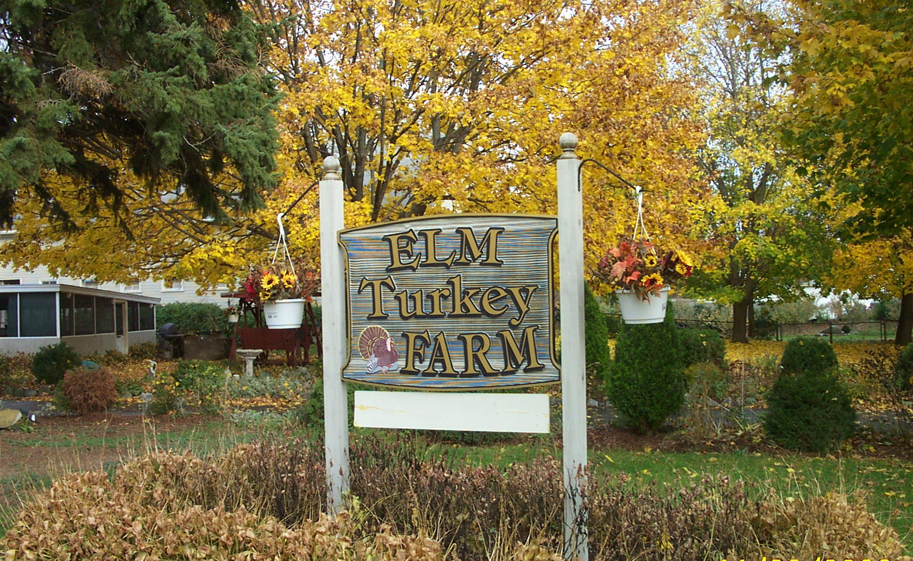 Elm Turkey Farm