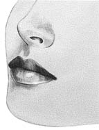 face - clipartconnection.com