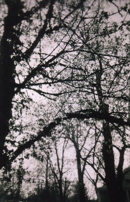 April, 2003