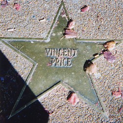 You can always tell who the tourists are because they take photos of the sidewalk stars.&nbsp; Um, wait.
