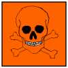 calavera.GIF (3557 bytes)