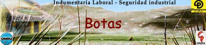 Botas