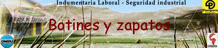 Botines y zapatos