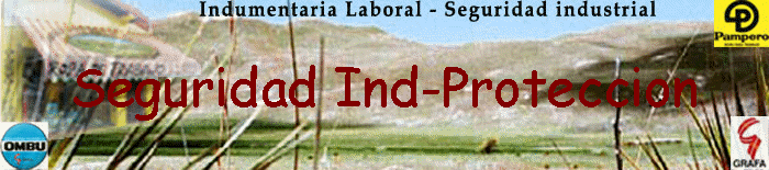 Seguridad Ind-Proteccion