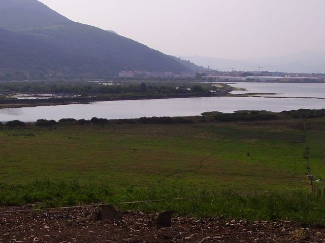 Las Marismas