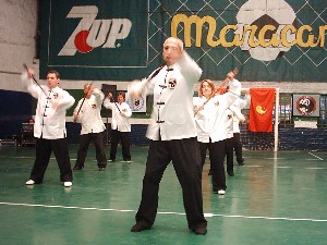 tai chi pan