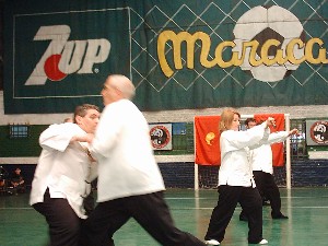 tai chi pan