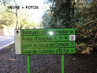 SI FEU UN CLIK PODREU VEURE UNA SEQ��NCIA DE 9 FOTOGRAFIES.