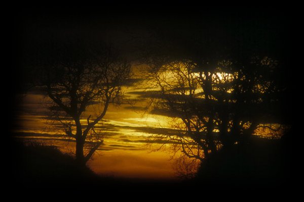 sunsettop.jpg 600x400 Original photo supplied by Freephoto.com Photographer:  Ian Britton 
