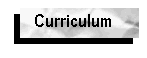 Rsum / Curriculum