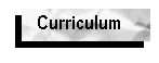 R�sum� / Curriculum