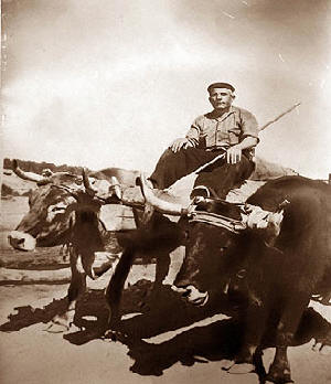 Carretero