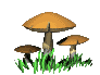 mushdanc.gif (10032 bytes)