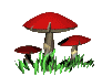 mushred.gif (9820 bytes)