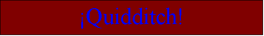 Cuadro de texto: �Quidditch!