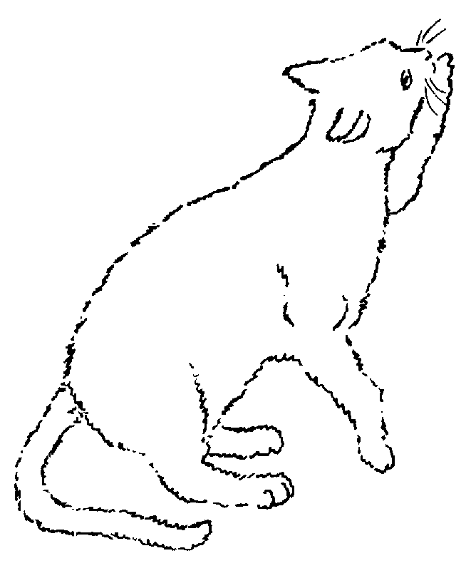 cp1
