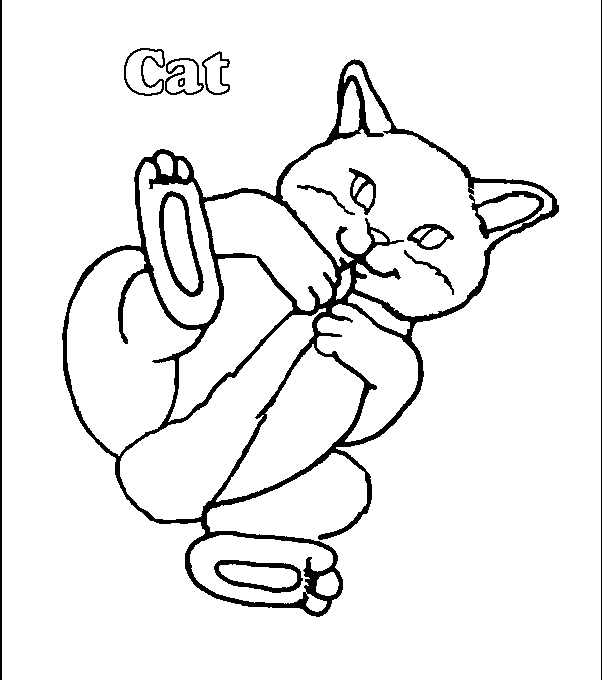 cp6