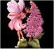 Image of pinkfaerythumb.jpg