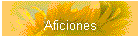 Aficiones