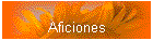 Aficiones